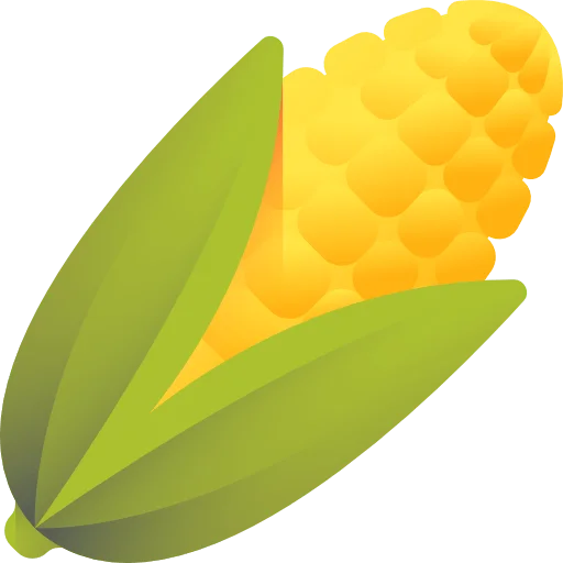 corn 1