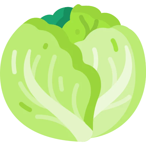 cabbage 1