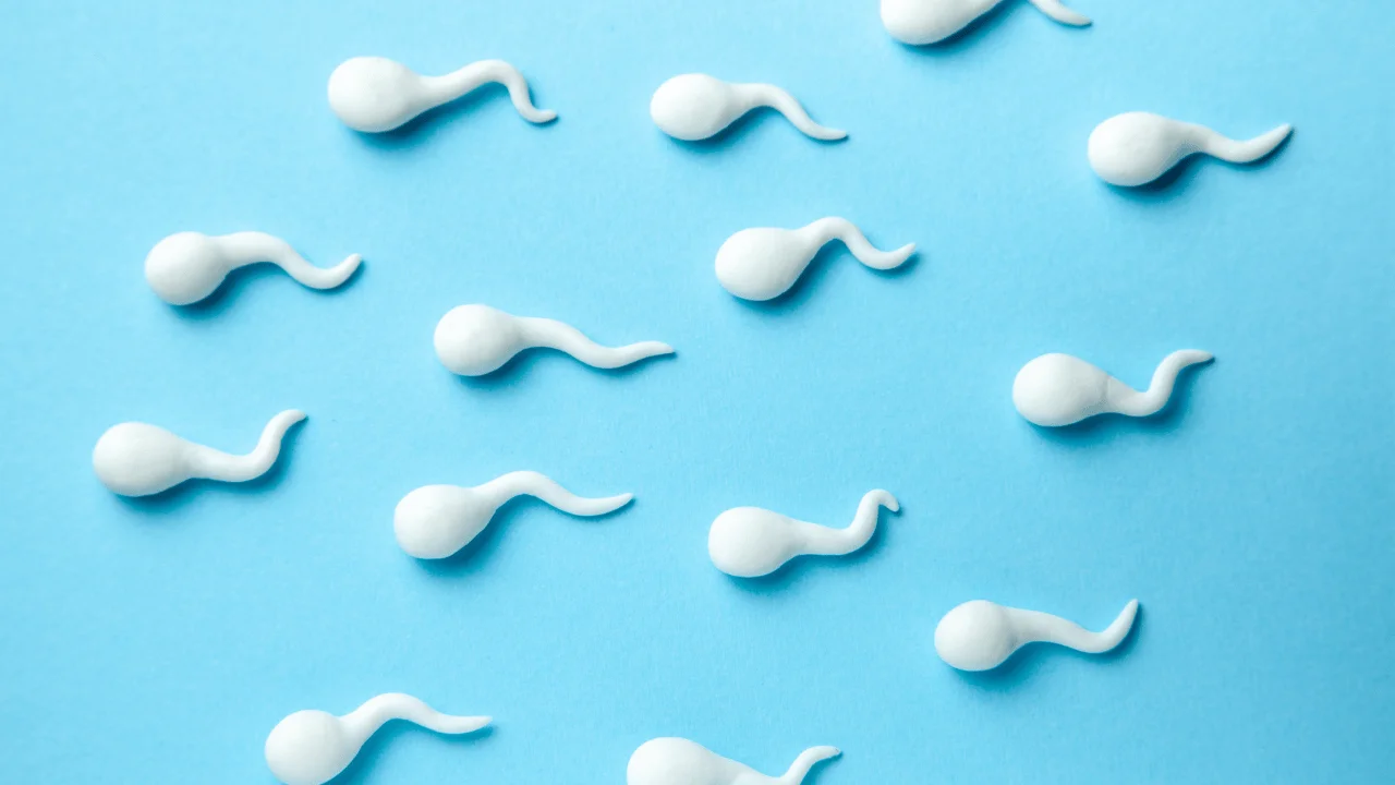 10 Ways to Increase Sperm Count Naturally