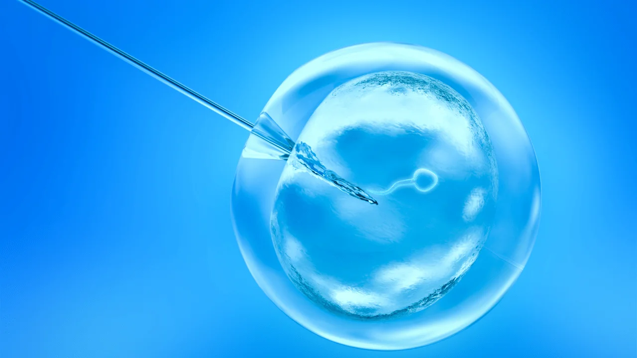 In Vitro Fertilization