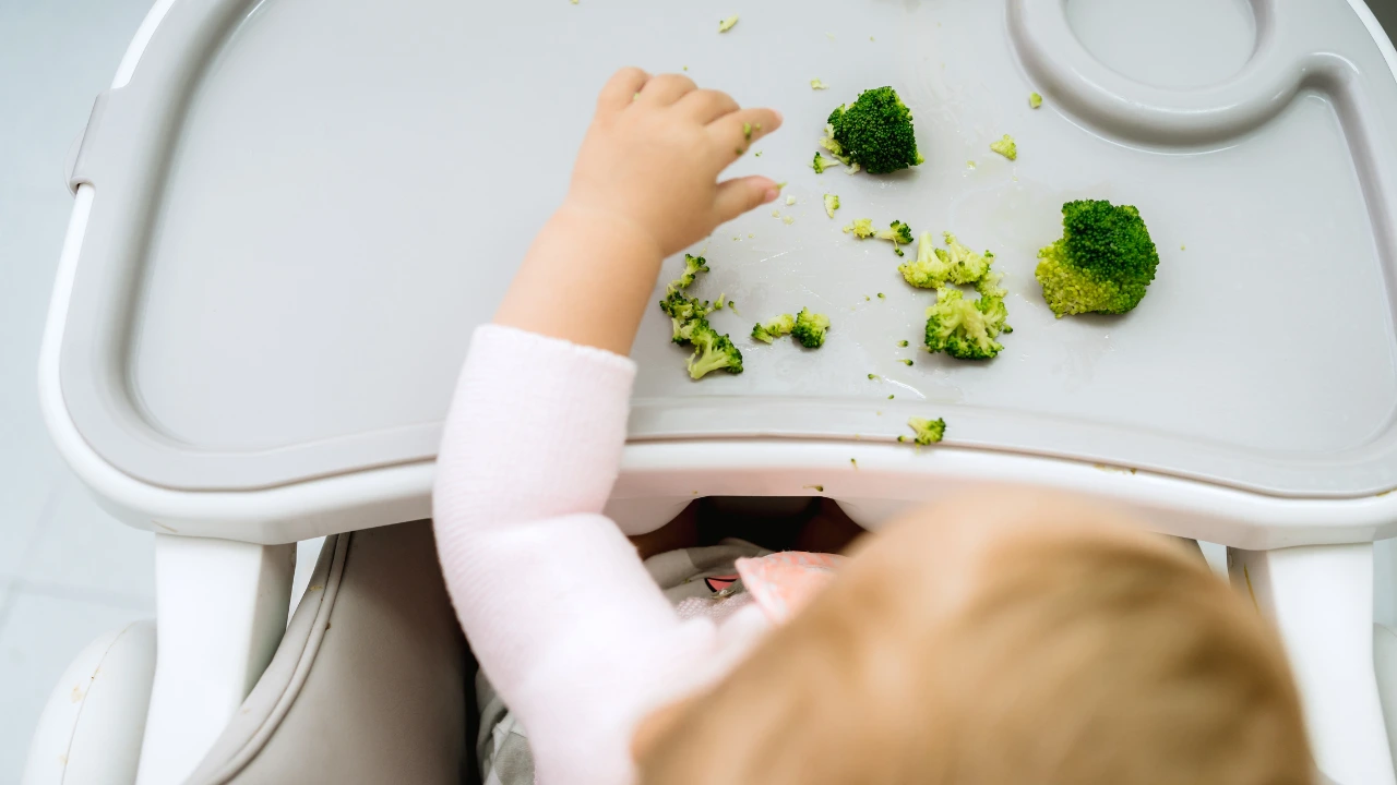 Vegan and vegetarian diets for babies and toddlers