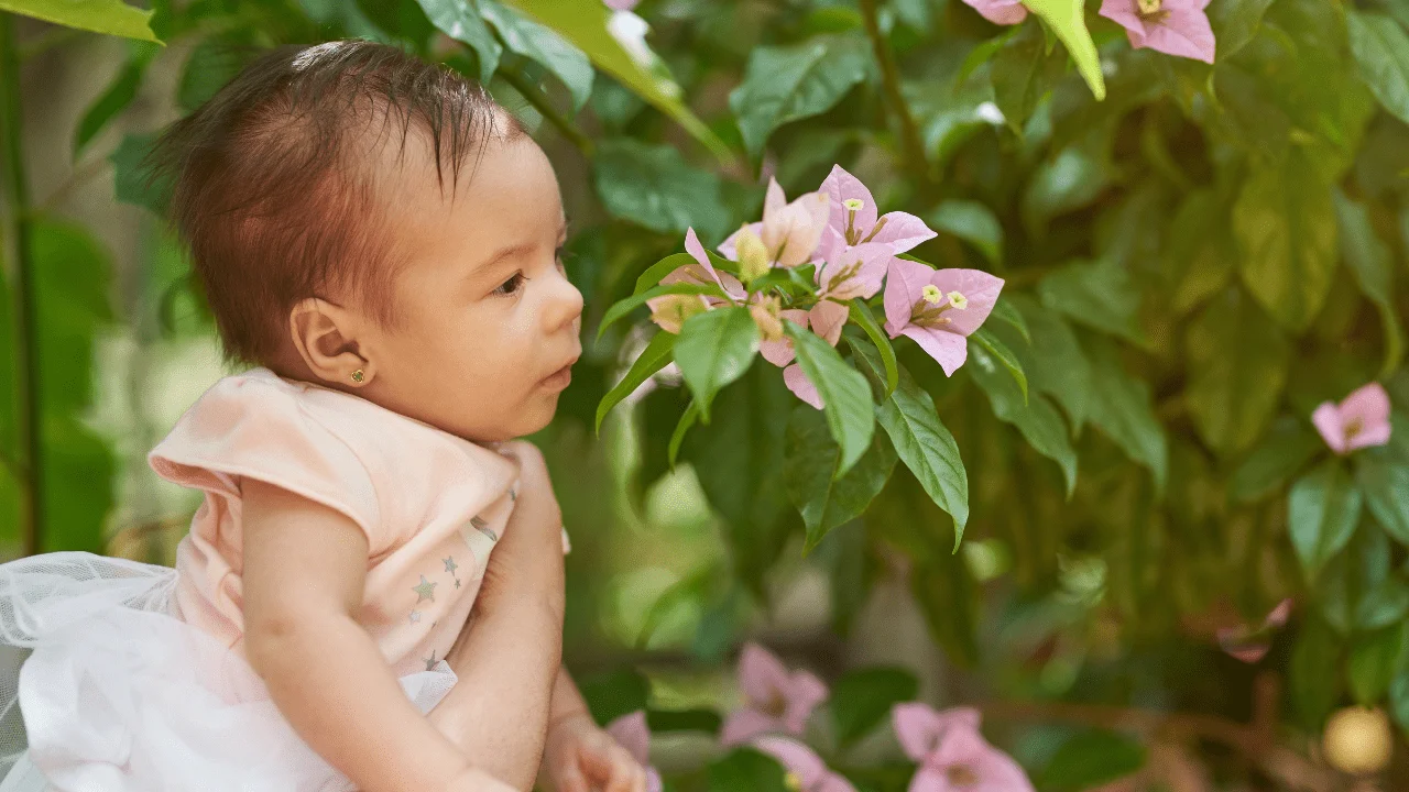 Your baby’s sense of smell